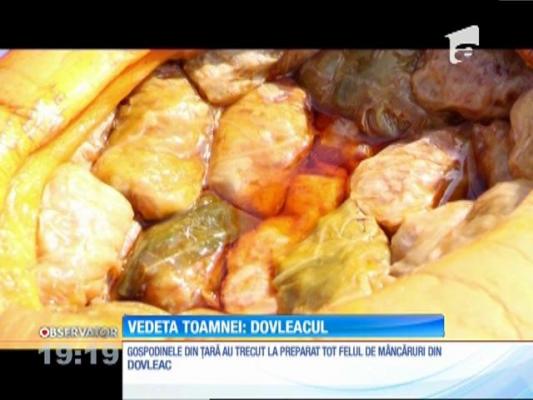 Sarmale făcute în dovleac, preparatul vedetă al toamnei