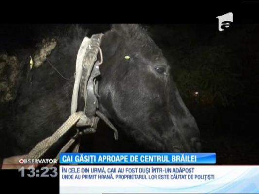 Cai găsiți liberi în centrul orașului