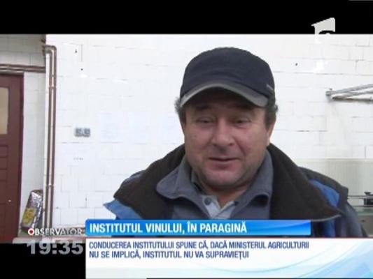 Singurul institut de Viticultură şi Vinificaţie din ţară a ajuns în paragină