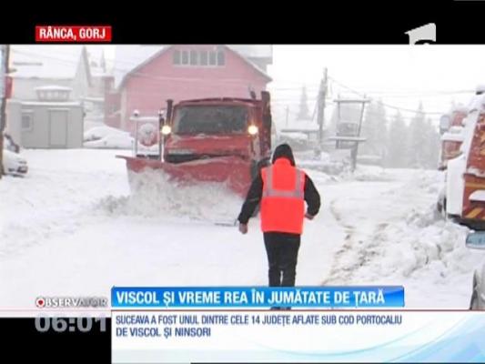 Vreme rea în jumătate de ţară. 14 judeţe au fost sub cod portocaliu de viscol