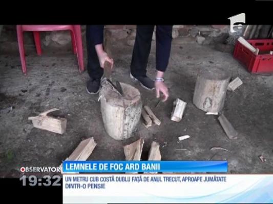 Milioane de români fac sacrificii uriaşe pentru a se încălzi iarna aceasta. Metrul cub de lemne costă cât o pensie întreagă. Tocmai lupta împotriva defrişărilor a ridicat tarifele