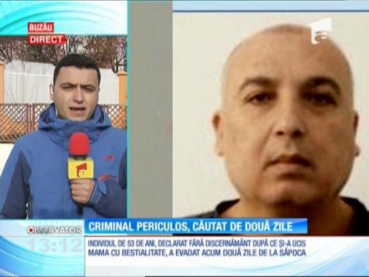 Căutări extinse după ce criminalul extrem de periculos a fugit din Spitalul de Psihiatrie Săpoca din Buzău