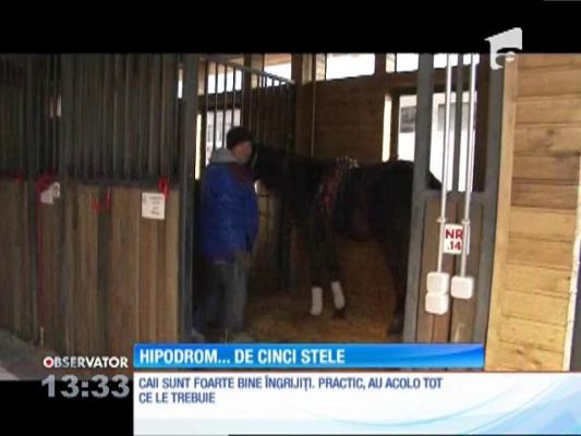 Hipodrom de cinci stele, la Ploieşti