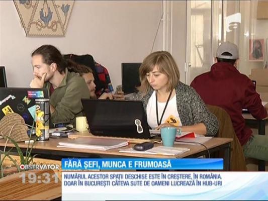 Angajaţii nu mai vor muncă la birou şi program de la nouă la cinci