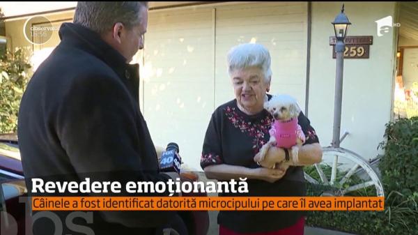 Un câine şi-a regăsit stăpânii după 9 ani