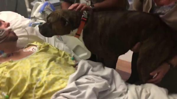 Devotat până la ultima suflare! IMAGINI SFÂŞIETOARE cu un câine care îşi ia adio de la stăpânul său aflat pe patul de moarte