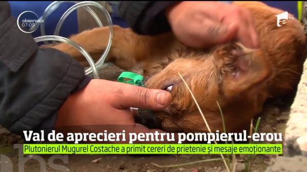 Val de aprecieri pentru pompierul care a resuscitat un căţeluş intoxicat cu fum
