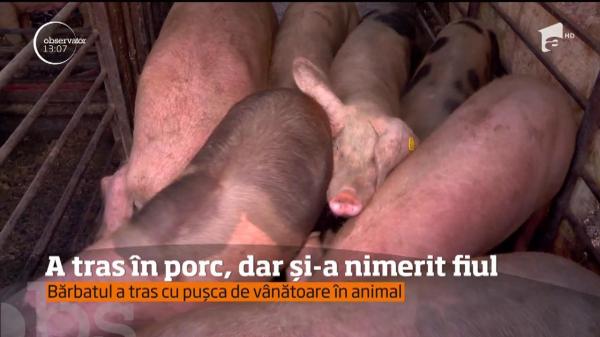 A tras în porc, dar și-a nimerit fiul