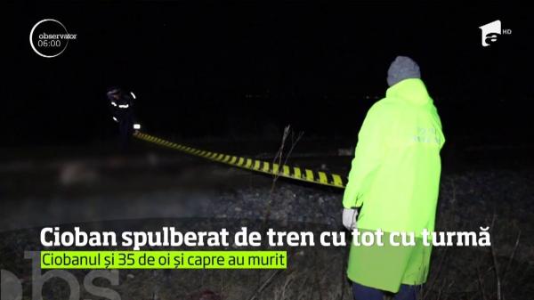 Un cioban a murit odată cu oile pe care le avea în grijă, în judeţul Buzău. Omul şi animalele au fost spulberaţi de un tren
