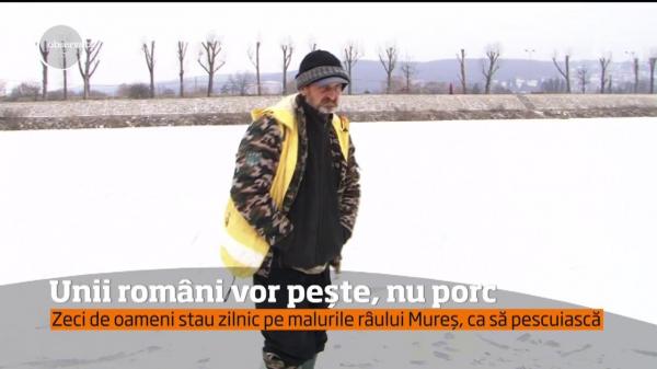 Unii români vor pește, nu porc de Sărbători