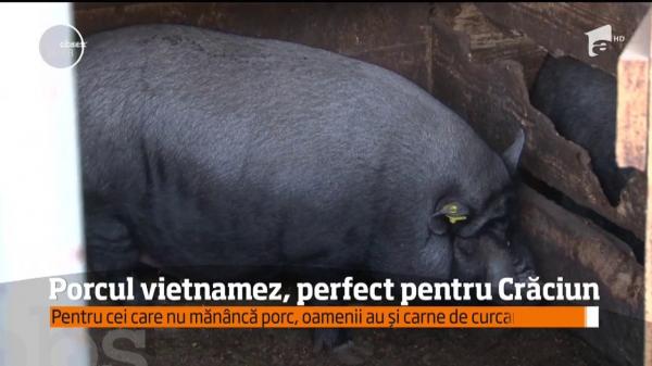 Carne de porc fără colesterol
