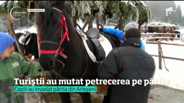 Turiștii din Poiana Brașov au ales plimbările cu sania trasă de cai