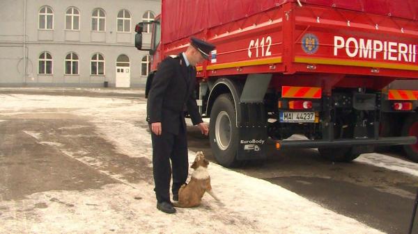 Un căţeluş salvat dintr-un incendiu a devenit... pompier. E noul recrut al ISU Târgu Mureş (VIDEO)