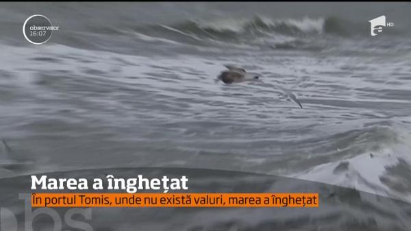 În portul Tomis, marea a înghețat, iar în larg "fierbe"