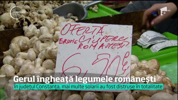 Gerul îngheață legumele românești