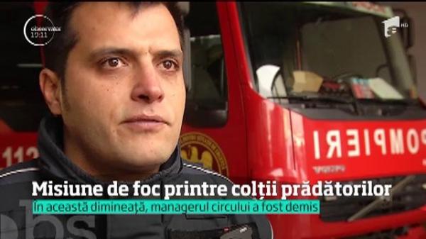 Managerul Circului Globus a fost demis! Petiţia "Punem capăt exploatării animalelor sălbatice în circuri" a strâns în 24 de ore aproape 40 de mii de semnături!