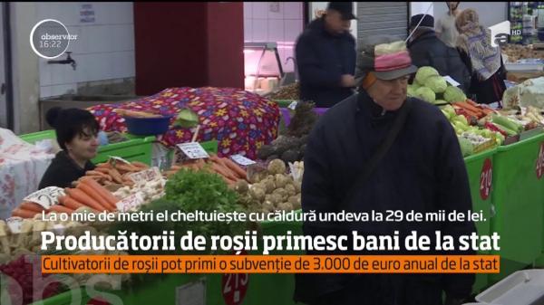 3.000 euro pe an! Atât este SUBVENŢIA de la stat pentru CULTIVATORII de ROŞII