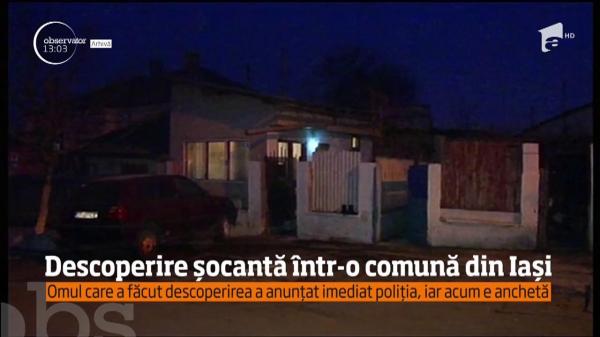 Descoperire ŞOCANTĂ în Iași. O femeie a fost mâncată de câini. Cadavrul a fost găsit în spatele unei curți