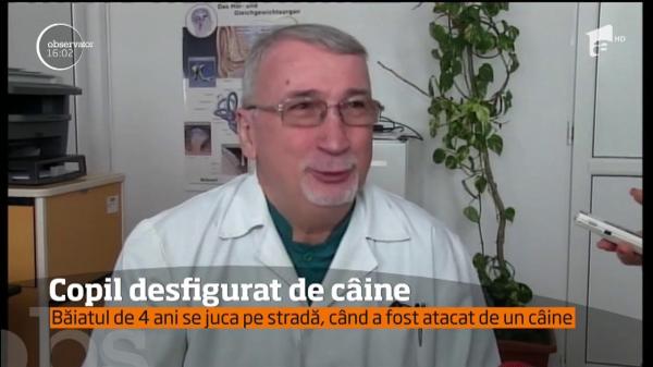 Familia copilului muşcat de un câine la Techirghiol ar putea fi acuzată de neglijenţă