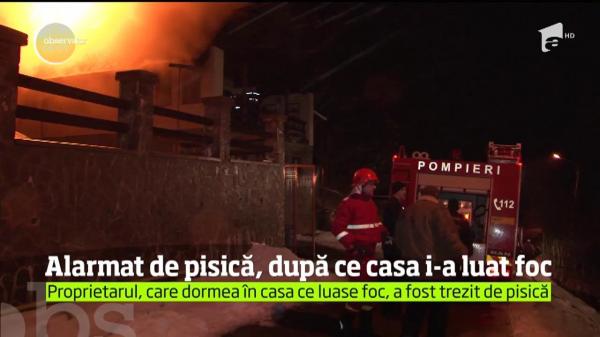 Bărbat, SALVAT de pisica lui! Cum şi-a trezit felina stăpânul, după ce casa lui din Buşteni a luat foc (VIDEO)