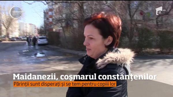 O haită de câini a băgat spaima în locuitorii unui cartier din Constanţa. Autorităţile nu pot interveni