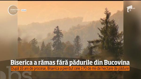 Biserica a rămas fără pădurile din Bucovina, după ani buni de judecată cu Romsilva