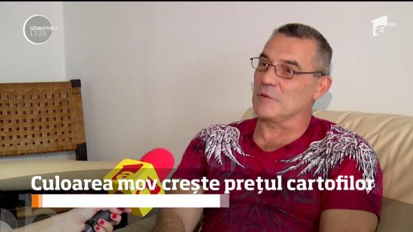 Cartoful mov, vedeta meniurilor. Le poate aduce agricultorilor profituri de zeci de mii de euro