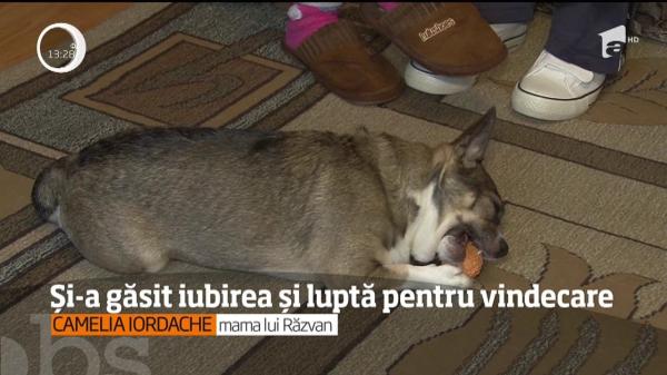 Iubirea îl ajută să se vindece! Răzvan Iordache visează să meargă din nou