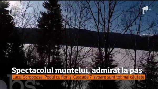 Spectacolul muntelui, admirat la pas. Lacul Scropoasa, Podul cu flori și Cascada 7 sunt tot mai căutate