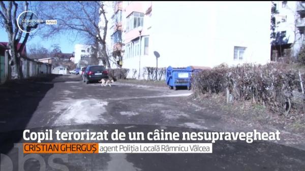 MOMENT CUMPLIT pentru un băieţel de 6 ani! Micuţul a fost atacat de un câine într-un parc din Râmnicu Vâlcea