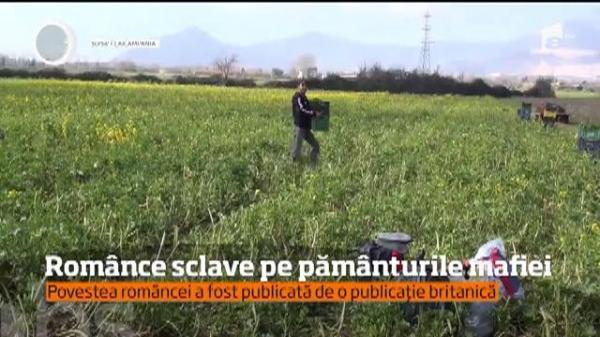 Povestea CUTREMURĂTOARE a Elenei, o româncă plecată în Italia pentru un trai mai bun: ziua muncea şi 12 ore, noaptea era violată cu pistolul la tâmplă