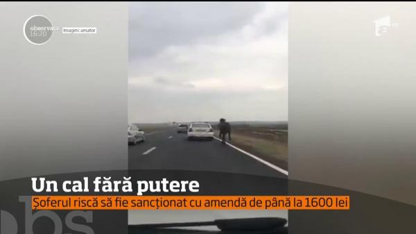 IMAGINI REVOLTĂTOARE! Un cal a fost filmat în timp ce alerga după un autoturism, legat de cârligul de remorcare al vehicului