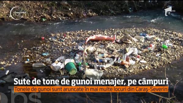 SCANDAL la Timiş, unde sute de tone de gunoi menajer au fost împrăştiate în apropiere de Caransebeş