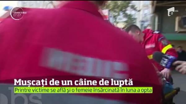 Întâmplare TERIBILĂ, la Dolj! Trei oameni au fost MUŞCATI de un câine de luptă într-o gospodărie din Filiaşi