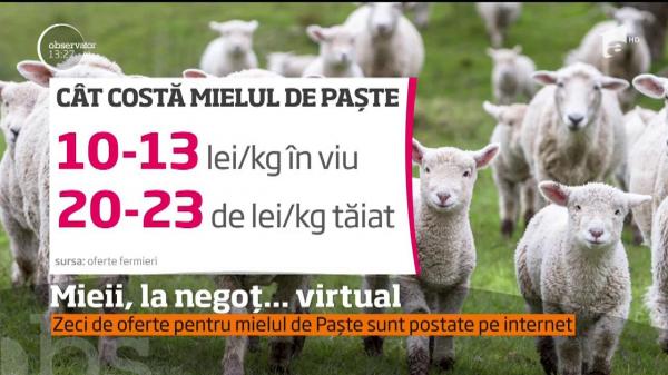 Comerţul cu miei se mută online. Fermierii au publicat deja zeci de anunţuri pe internet
