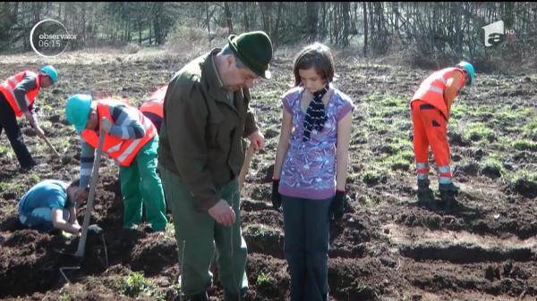 Elevii din Caraş-Severin "repară" mediul înconjurător: Pădurile tăiate de adulţi sunt replantate de copii