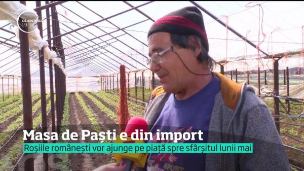 Legume de import, pe masă de Paşti! Roşiile şi castraveţii româneşti ies pe piaţă abia din mai