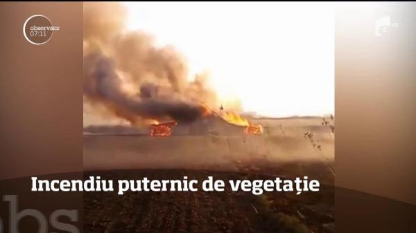 Nu trece zi fără vreun incendiu de vegetaţie! Focul a distrus zeci de hectare, la Caraş-Severin (VIDEO)