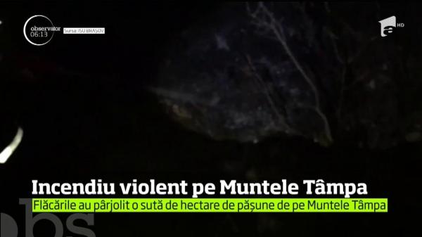 INCENDIU VIOLENT lângă Braşov! Sute de metri pătraţi de vegetaţie au fost distruse pe Muntele Tâmpa (VIDEO)