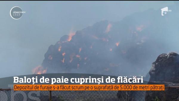 FOC VIOLENT în Prahova. 15.000 de baloţi de paie, mistuiţi de flăcările uriaşe care au pus în pericol şi casele din jur