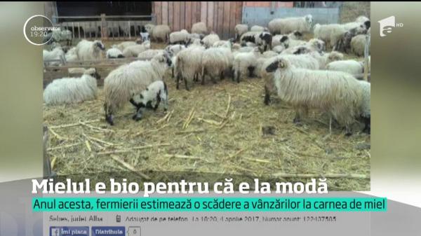 Ciobanii au început să vândă mieii de Paşte în mediul online