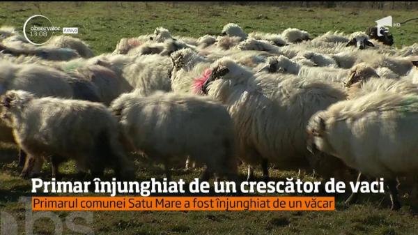 Primar din judeţul Harghita, ÎNJUNGHIAT după ce a încercat să rezolve un conflict în comuna sa (VIDEO)