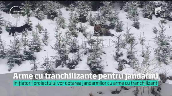 Parlamentarii vor să-i înzestreze pe jandarmi cu arme cu tranchilizante, ca să ne apere de urși