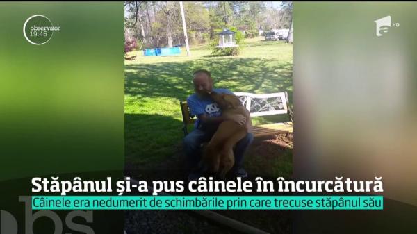 Revederea dintre un câine şi stăpânul său face deliciul internauţilor! Imagini IMPRESIONANTE