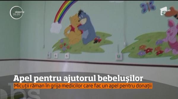 Au nevoie de ajutor! Sunt aduşi pe lume şi apoi abandonaţi. Fără milă, fără remuşcări