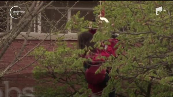 Protest pe macara! O tânără de 20 de ani şi-a strigat nemulţumirile de la înălţime