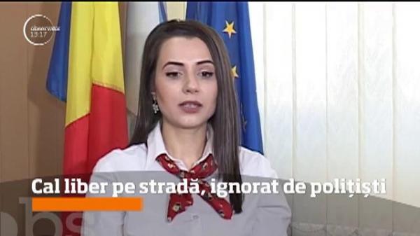 SCANDAL MONSTRU la poliţia din Târgu Jiu, pornit de la UN CAL care se plimba nestingherit pe străzile oraşului