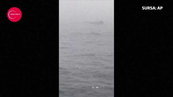 Momentul dramatic în care nava militară rusească SE SCUFUNDĂ, după ciocnirea cu un cargou cu oi din România (VIDEO)