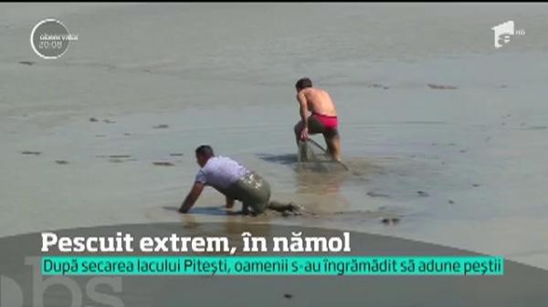 Lacul de acumulare Prundu din Piteşti a fost secat şi mii de peşti au fost prinşi în nămol de pescarii de ocazie