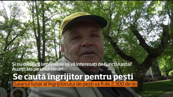 La Bistriţa se caută îngrijitor pentru... peştii din iazul parcului. Sarcinile nu sunt puţine